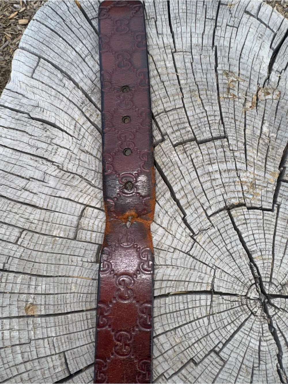 Gucci Brown Leather Belt with Silver-Tone Buckle